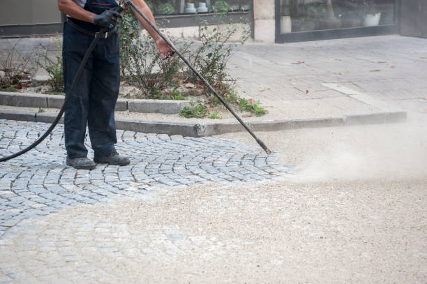  Westmont, IL Pressure Washing Pros