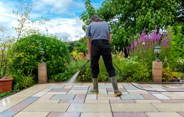 Best Brick and Stone Cleaning in Westmont, IL