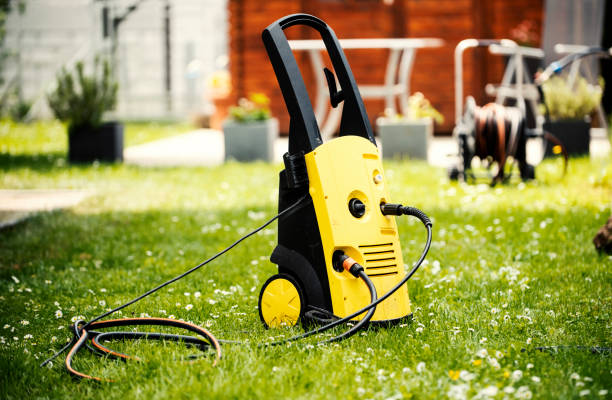 Best Roof Cleaning and Mildew Removal in Westmont, IL